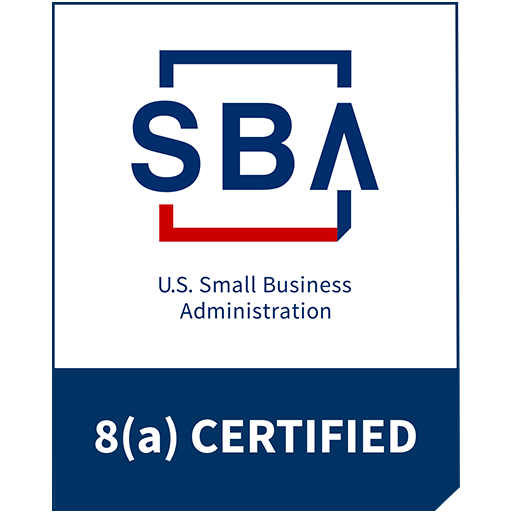 Government SBA 8a